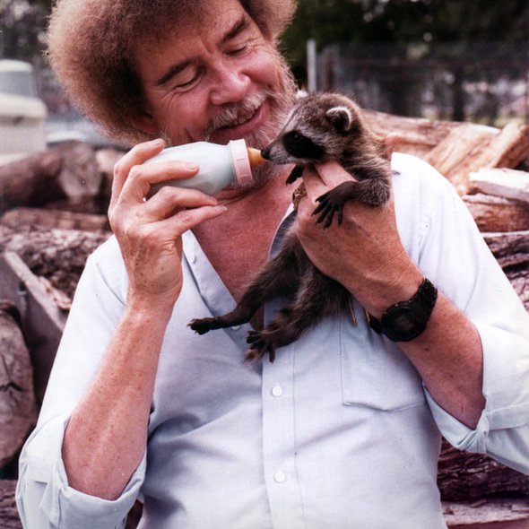 Bob Ross feeding a baby raccoon