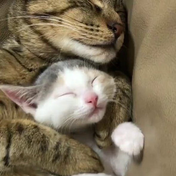 Sleep with mommy