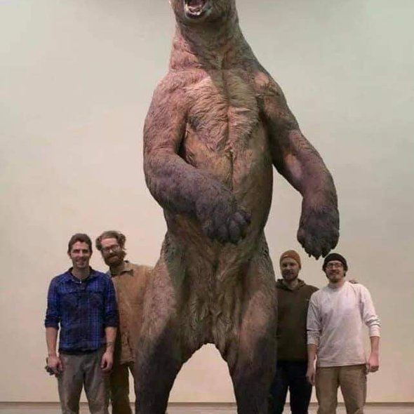 The size of the Giant Short-faced Bear