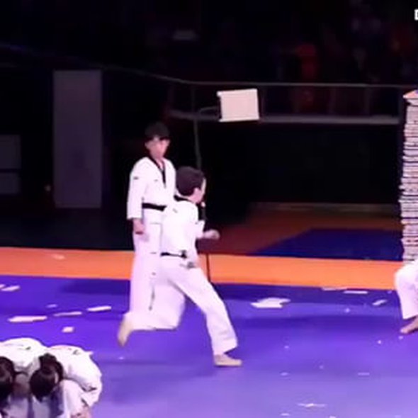 South Korean Taekwondo Team and their martial arts skills