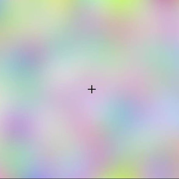 This picture has a color until you stare at the cross. It is called Troxler's Fading Illusion.
