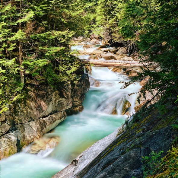 Golden Ears Provincial Park (British Columbia 🇨🇦)