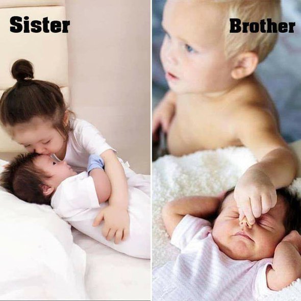 The difference between having a brother and a sister ...