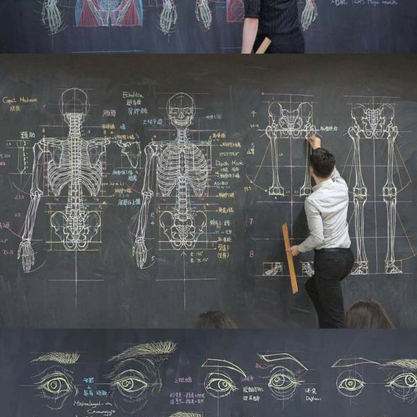 Chuan-Bin Chung, Taiwanese Teacher of Illustration, Anatomy of Arts and Painting Skill at Shu-Te University (Taiwan) , draws with amazing detail every internal complexity of muscles and bones of the human body.