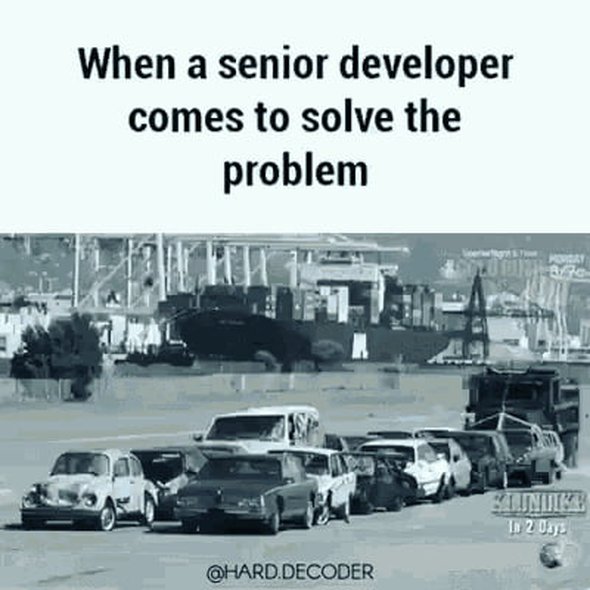 When Senior Developer comes to Solve the Problems