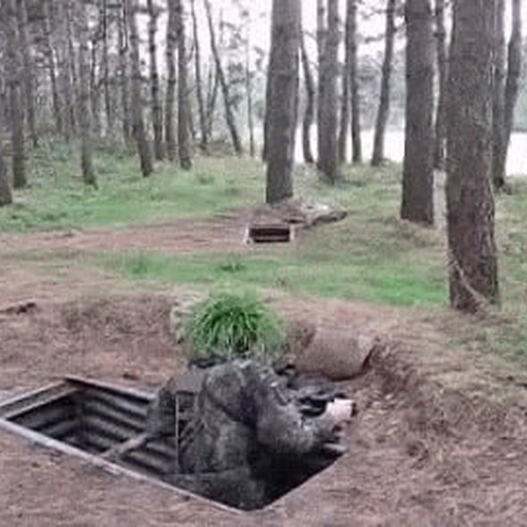 German soldier defeated by tree.