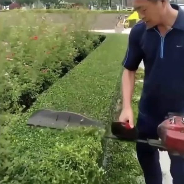 Hedge trimming master