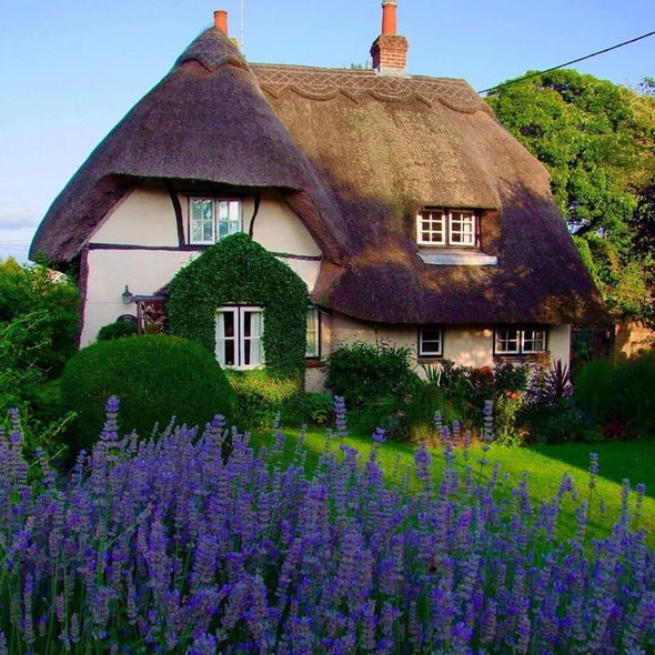 Cozy Thatched Splendour in West Hagbourne an attractive village in Oxfordshire!